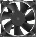 Fan Cooler